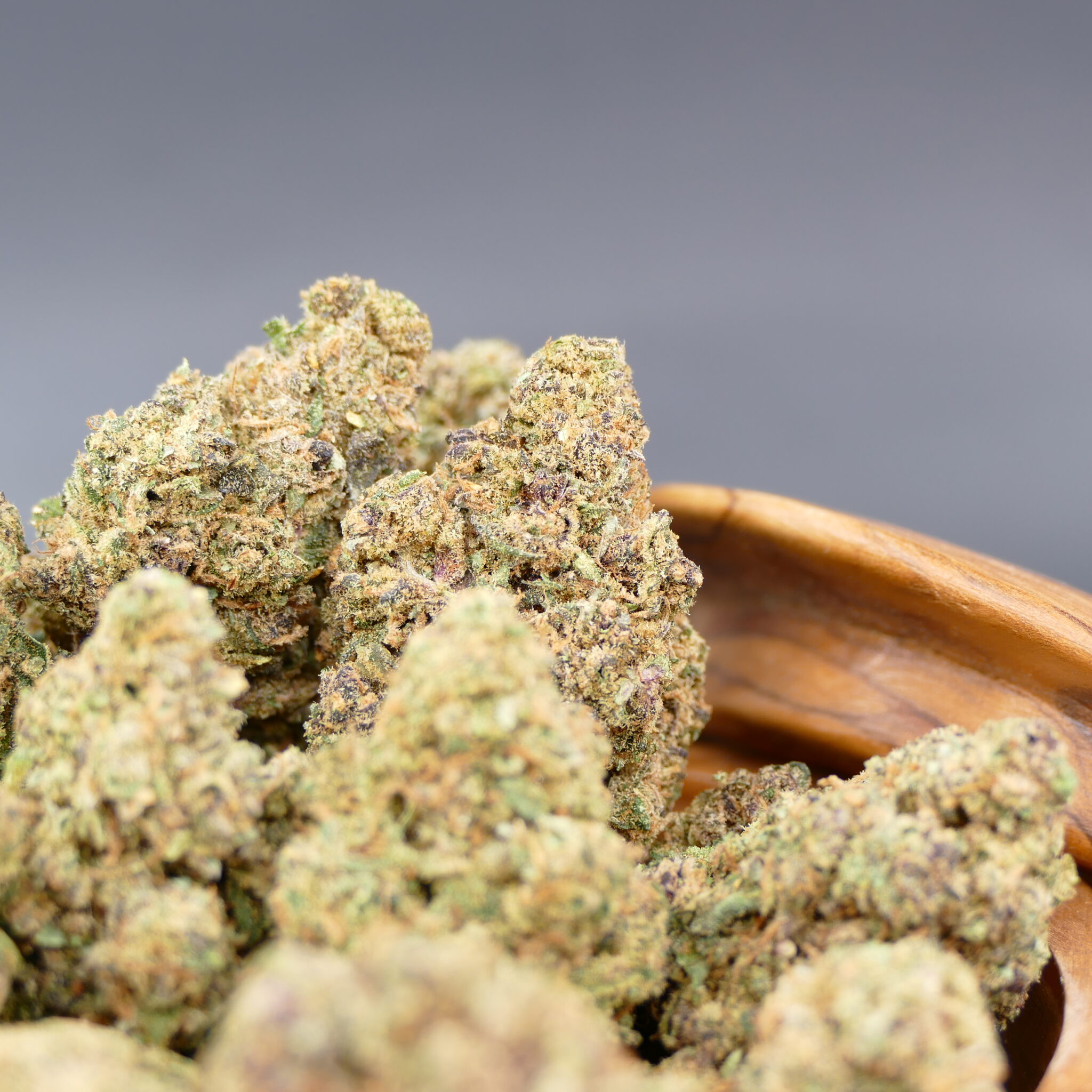 Dutch Punch Dutch Punch