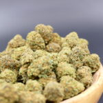 Honey Cheese Small 1 Honey Cheese Small