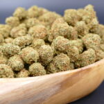 Cali Orange Pequeños 1 Cali Orange