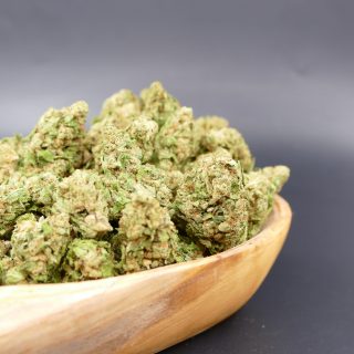 Critical + CBD Small XL