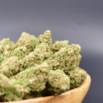 Northern Lime Small XL 1 Northern Lime Small XL