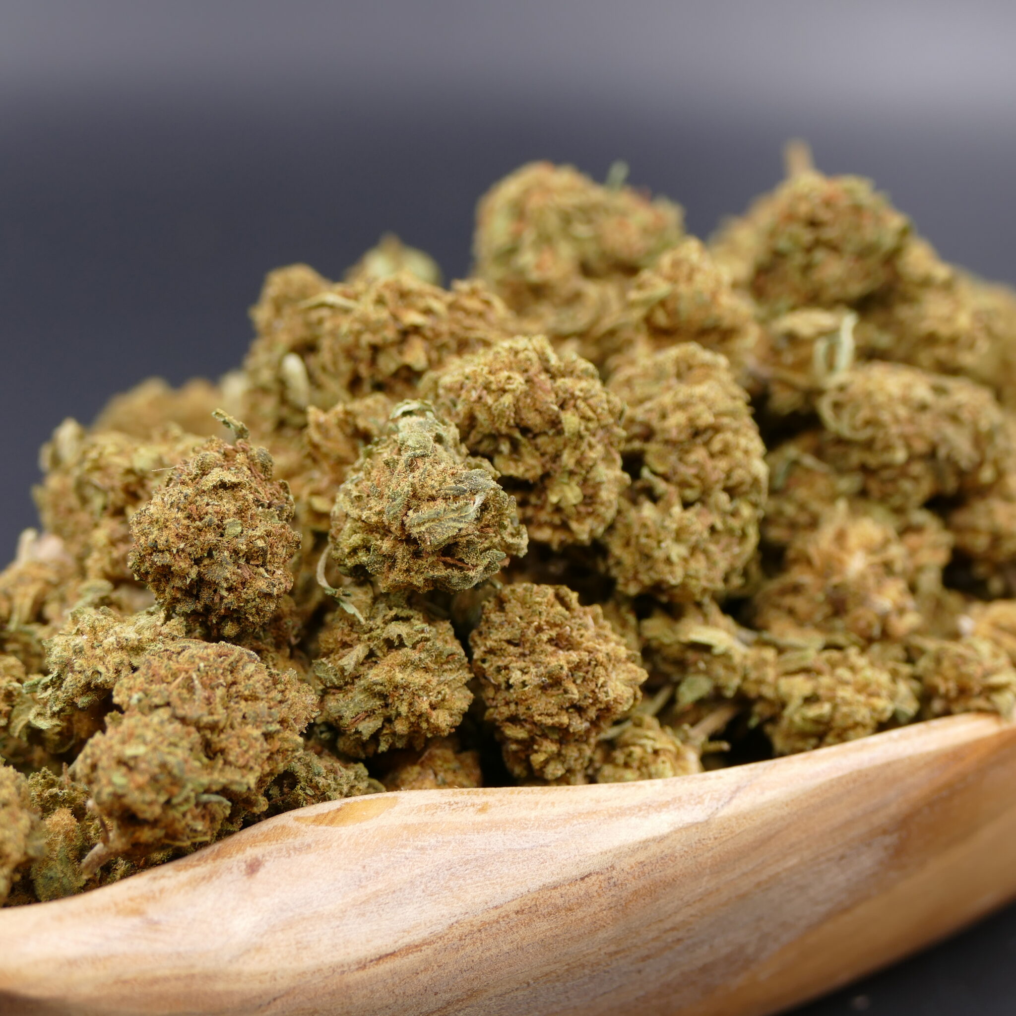 Cannatonic Cannatonic