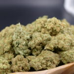 Himalayan Gold 1 Frosted