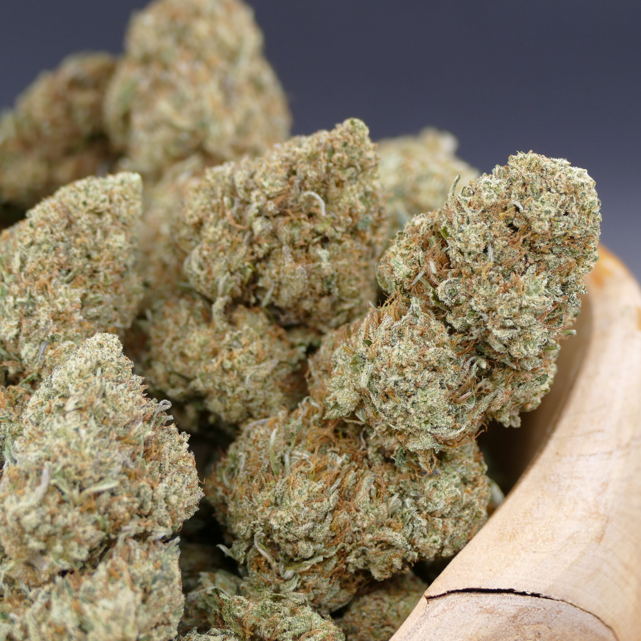 Lemon Cheesecake Lemon Cheesecake