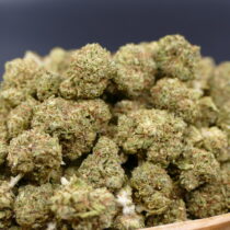 Tropicanna