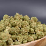 Gelato Royal 1 Gelato Royal