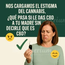 NOS CARGAMOS EL ESTIGMA DEL CANNABIS