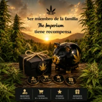 Cómo conseguir descuentos y regalos gratis en The Imperium CBD
