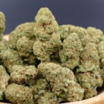 Skywalker glasshouse