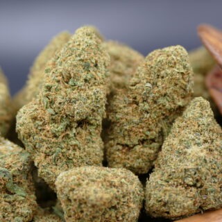 Mimosa CBD