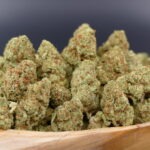 Monkey Glue