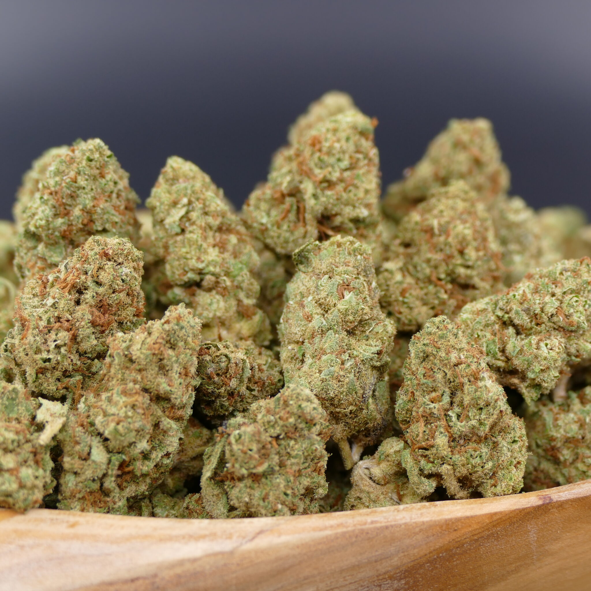 Monkey Glue Monkey Glue