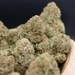 OG Kush CBD